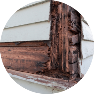 Repairing Wood Rot